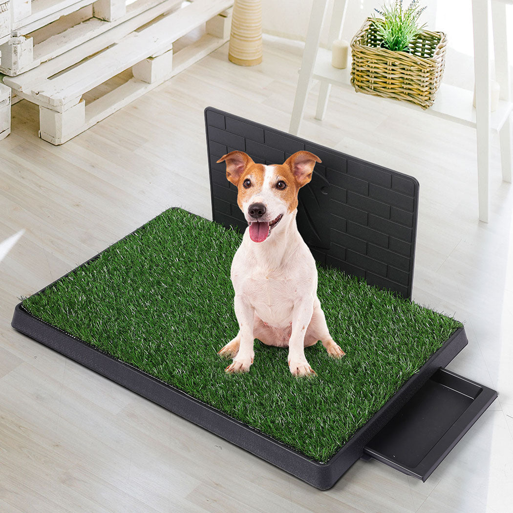 PaWz Indoor Dog Pet Grass Potty Training L-1864184511873552390