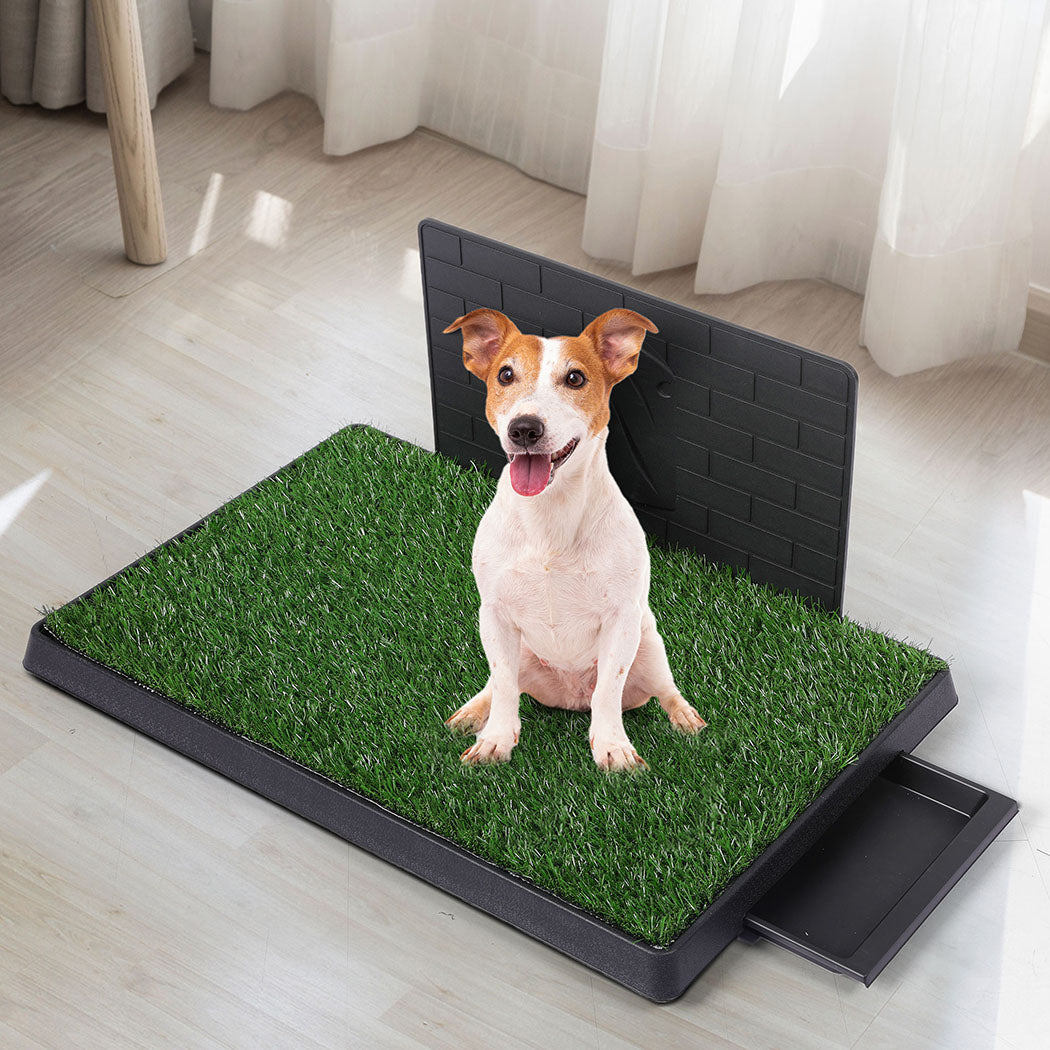 PaWz Indoor Dog Pet Grass Potty Training L-1864184511873552391