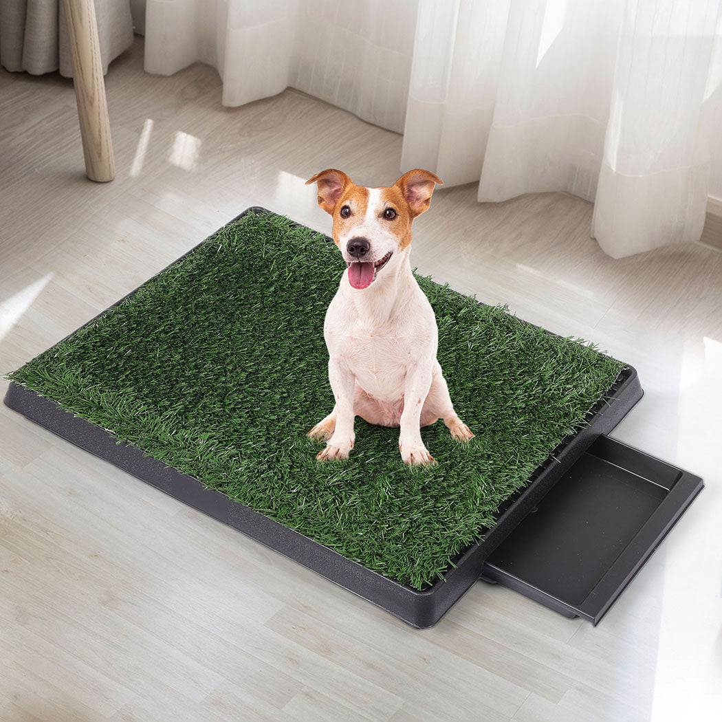 PaWz Indoor Dog Pet Grass Potty Training-1864184512016158727