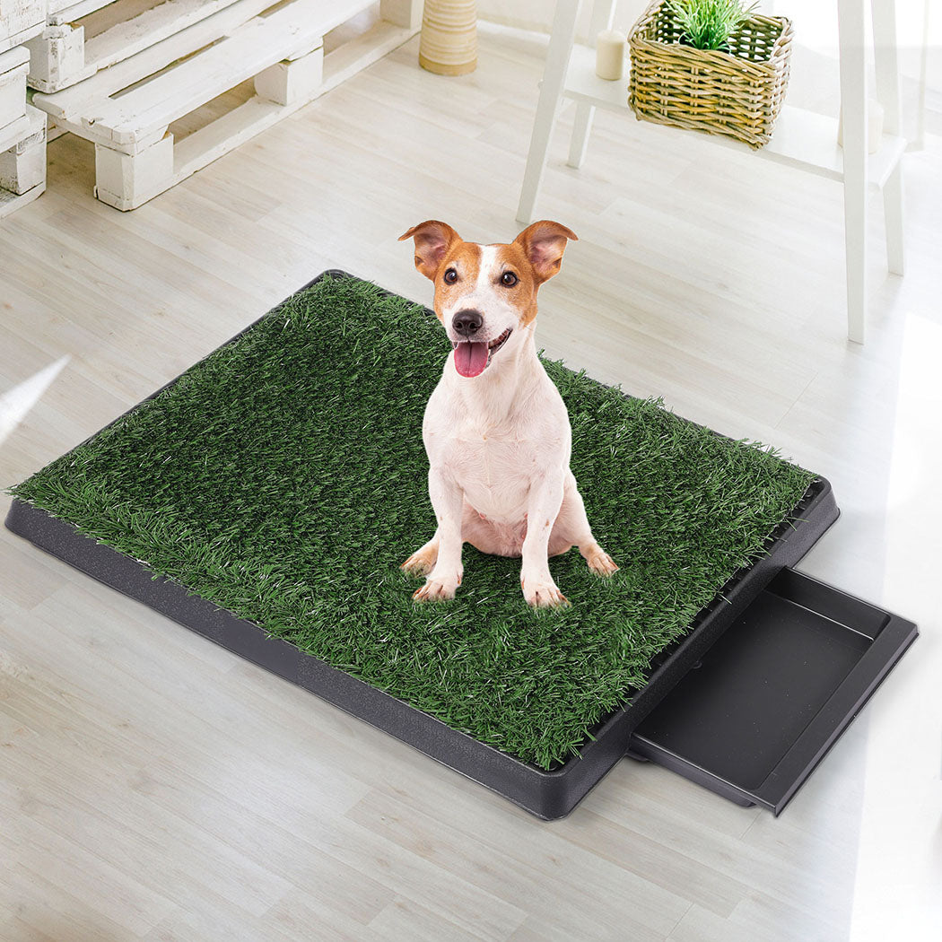 PaWz Indoor Dog Pet Grass Potty Training-1864184512016158726