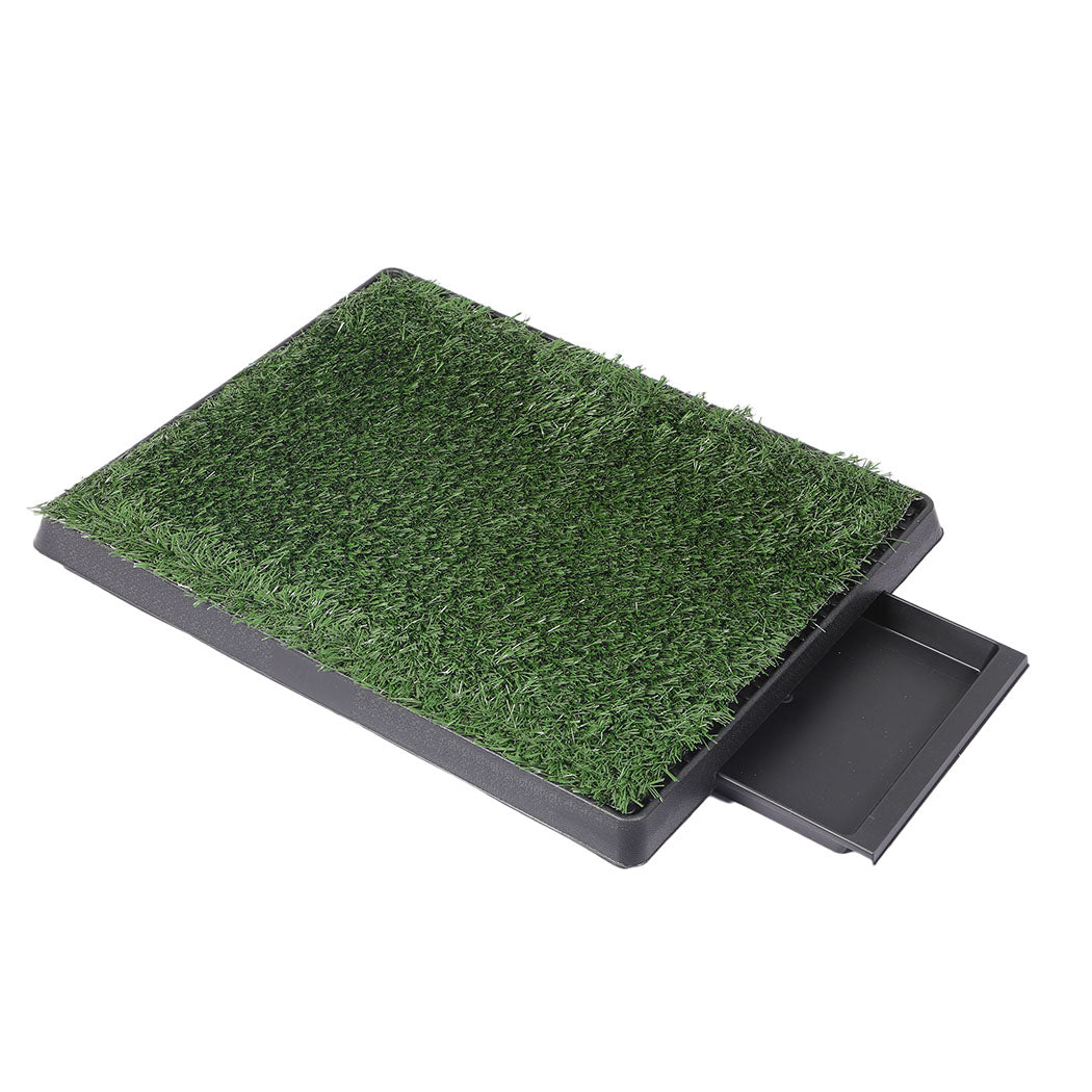 PaWz Indoor Dog Pet Grass Potty Training-1864184512016158720