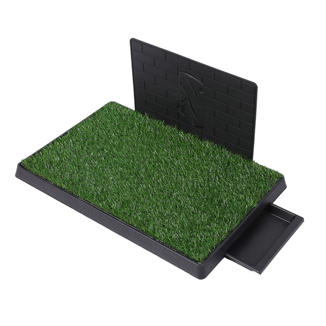 PaWz Indoor Dog Pet Grass Potty Training L-1864184511873552384
